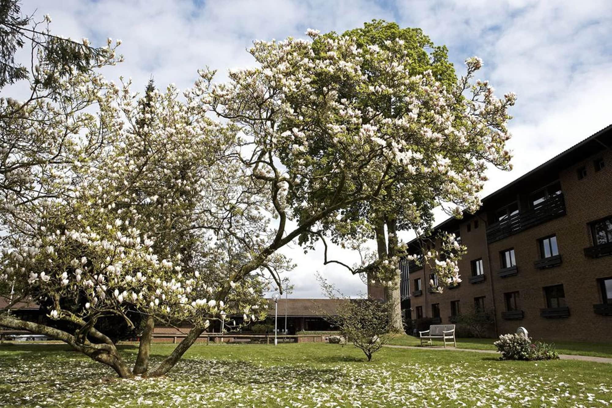 Munkebjerg Hotel Vejle Exterior photo